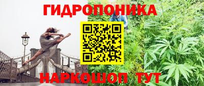 твердый Апшеронск