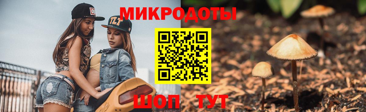 Псилоцибиновые грибы ЛСД Белово